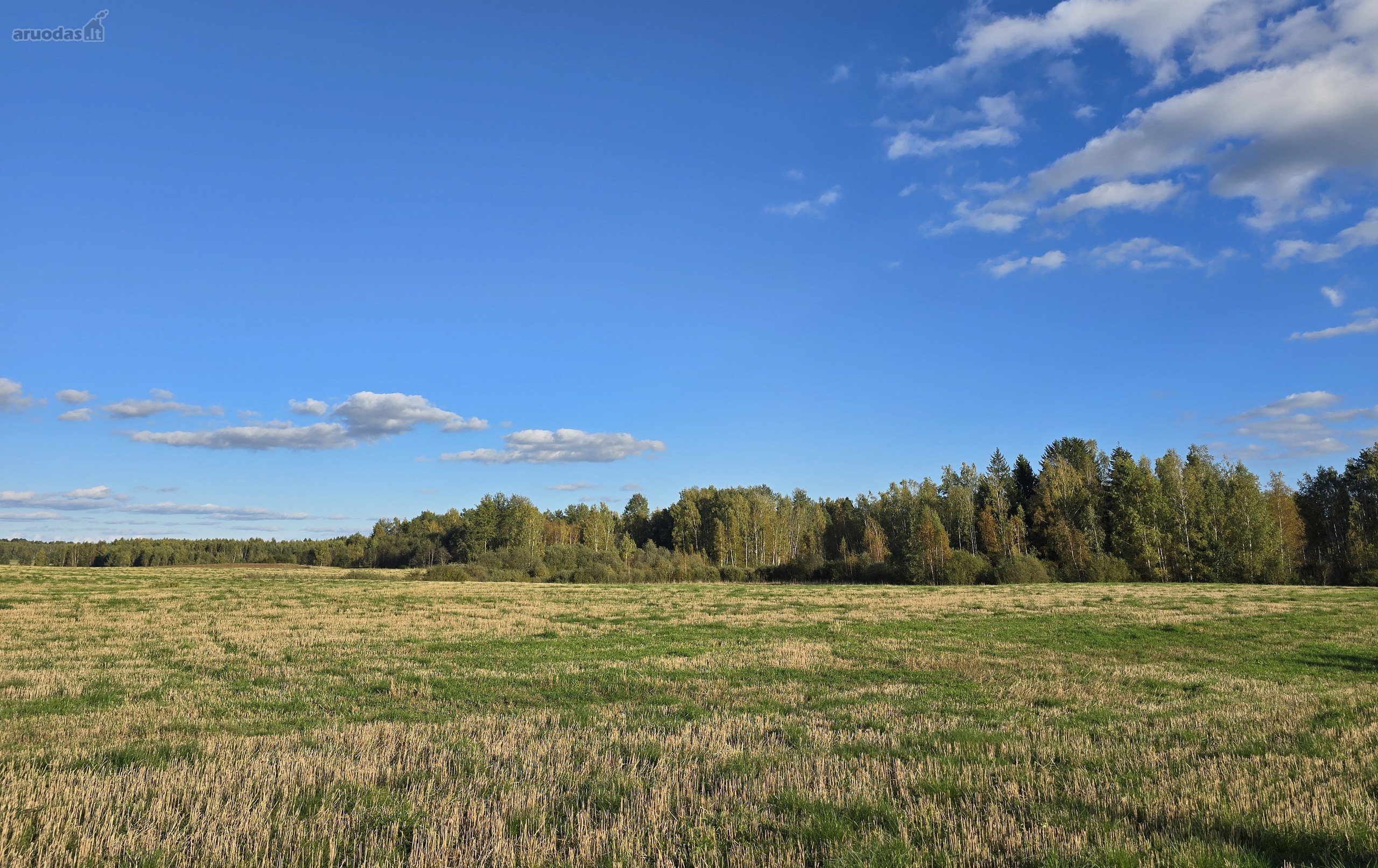 Parduodamas 3,5767 ha žemės sklypas Molėtų