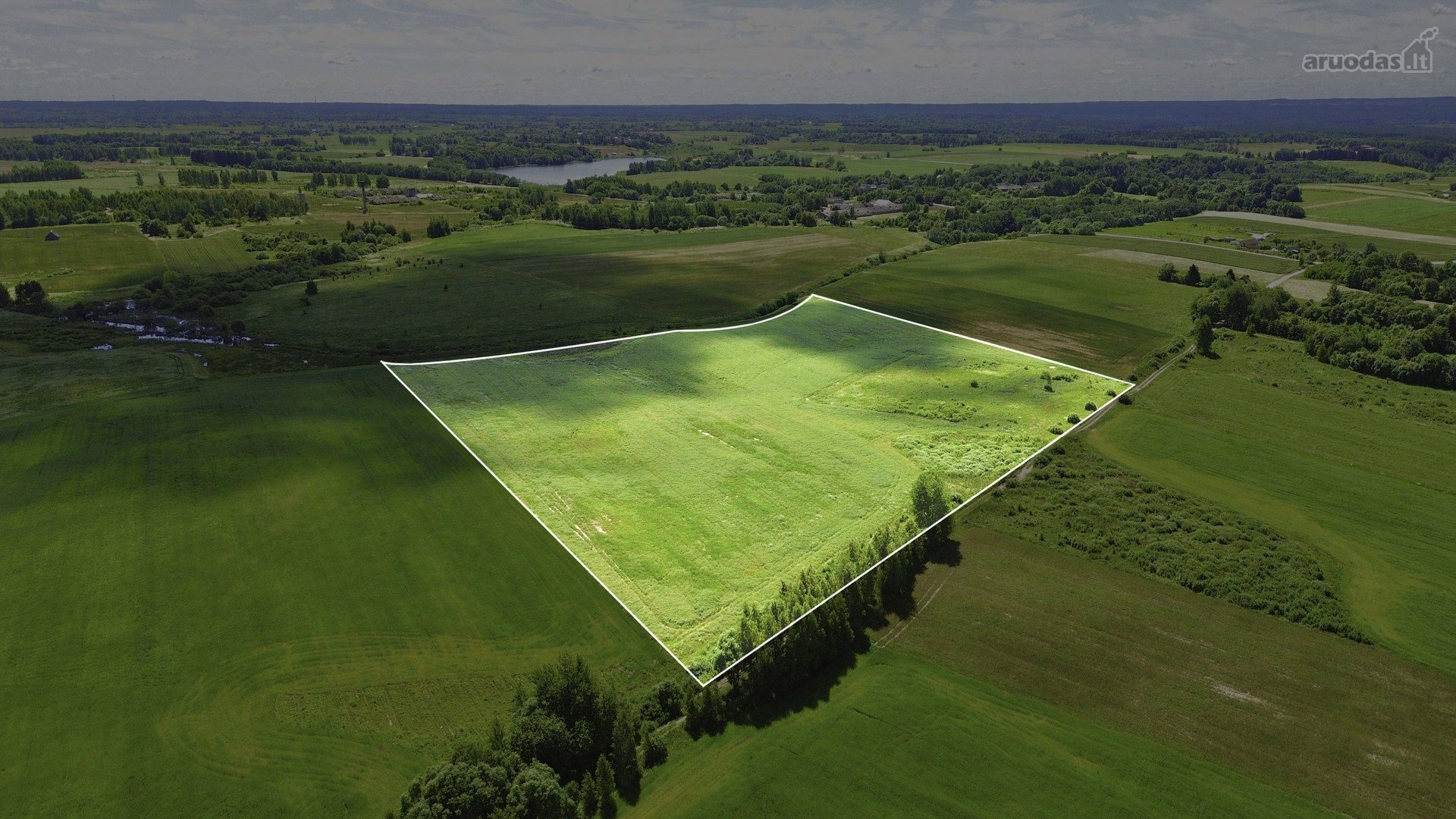Parduodamas didelis 7,7439 ha žemės ūkio