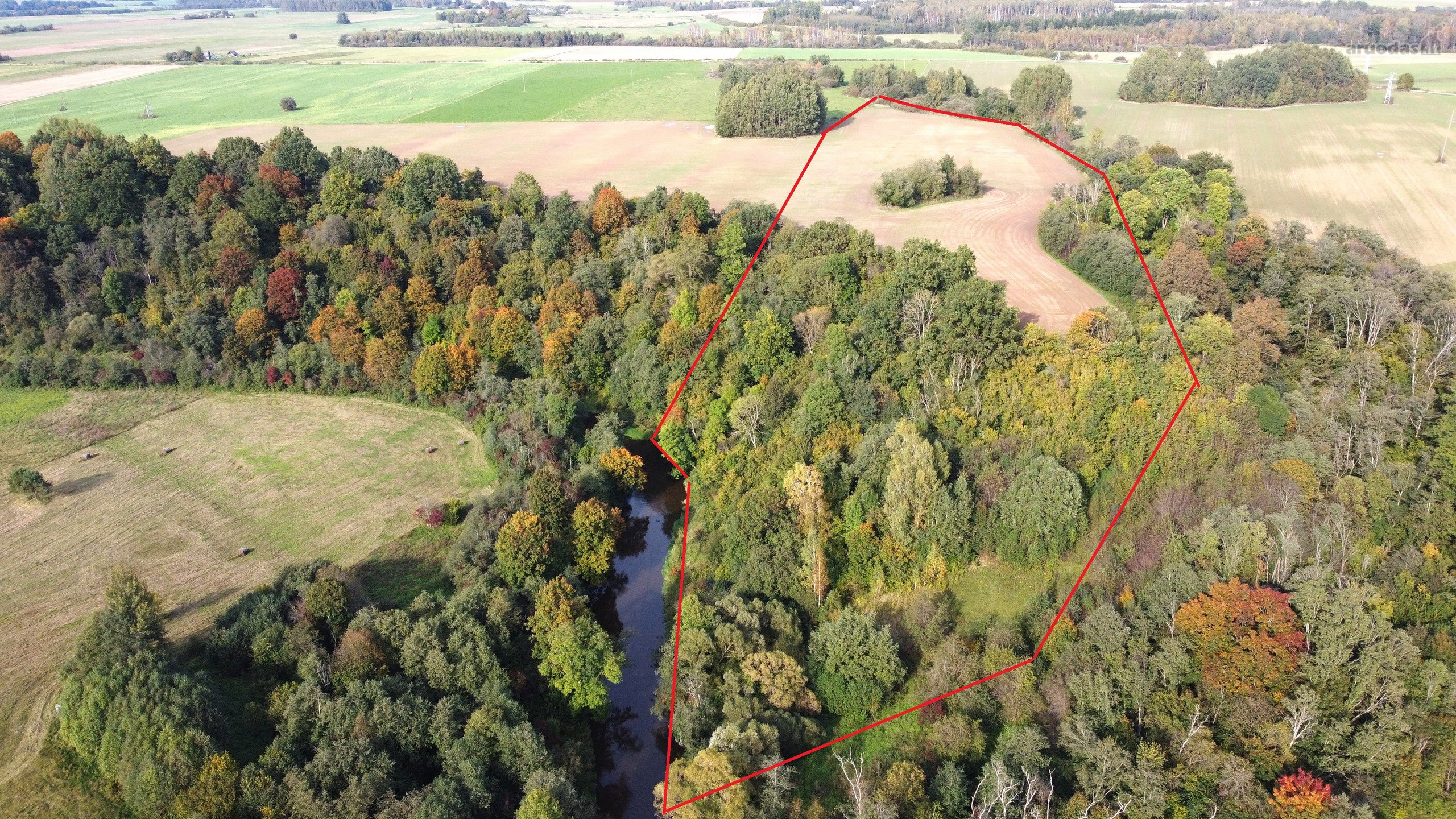 Upės pakrantė, Gelvonų sen. parduodamas 5,80