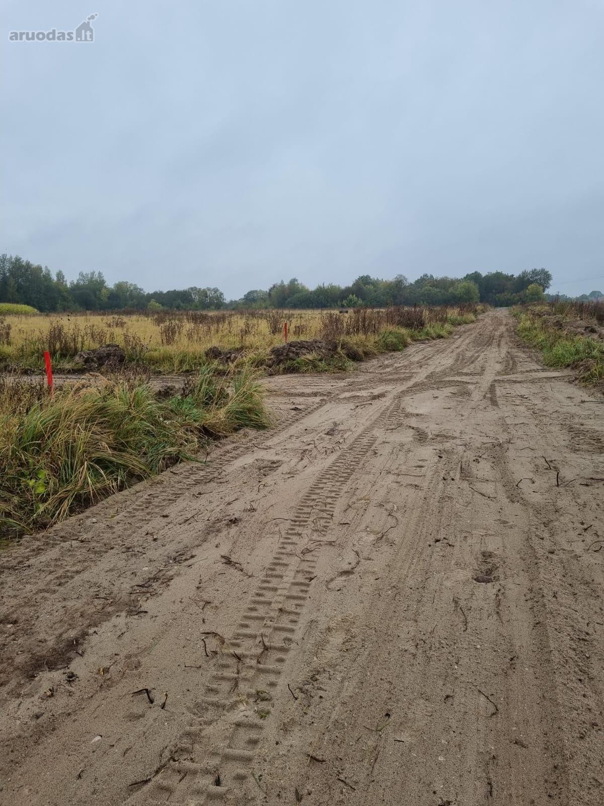 Parduodami sklypai Rokų gyvenvietėje