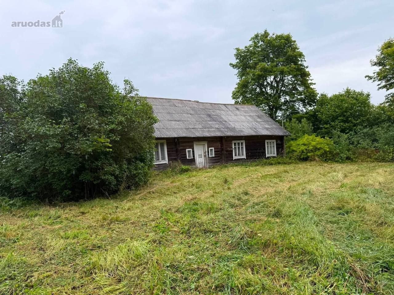 Išsimoketinai Sodyba Su 1.1ha Žemes