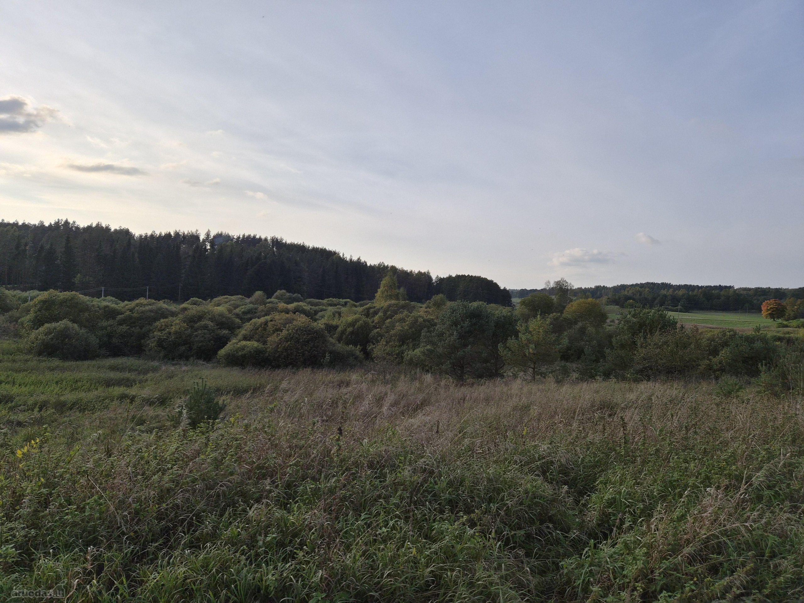 Parduodamas erdvus 1,43 ha (143 a) sklypas