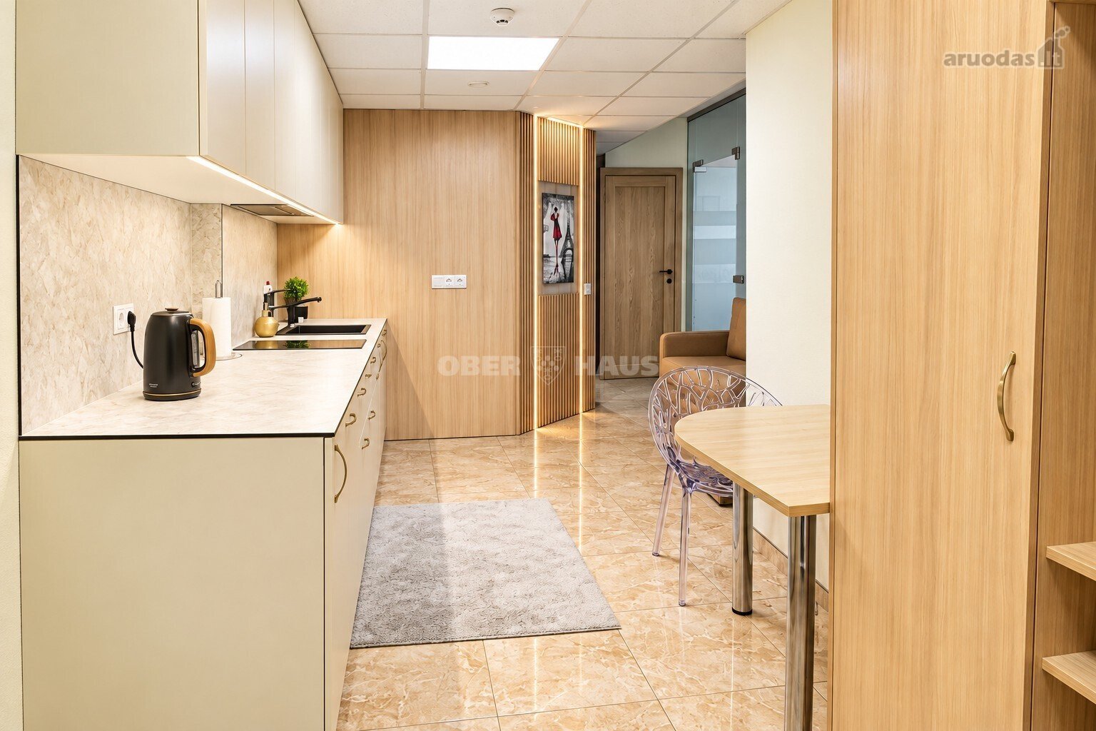 Investicinis objektas Draugystės g. 19d –