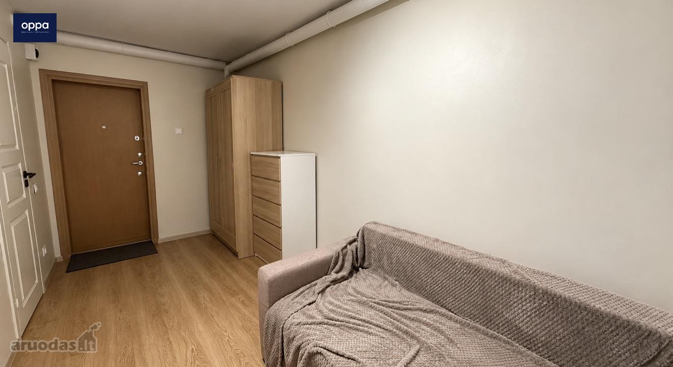 Nuomojamas 1 Kambario Butas Pelėšos G.,