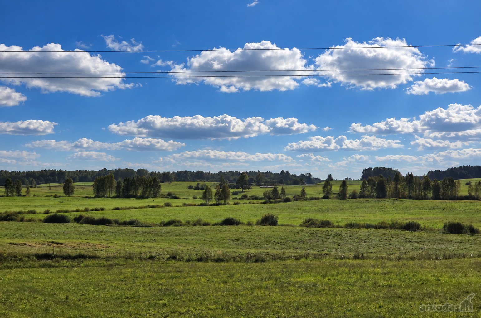 Parduodamas 8,85 ha žemės sklypas šalia