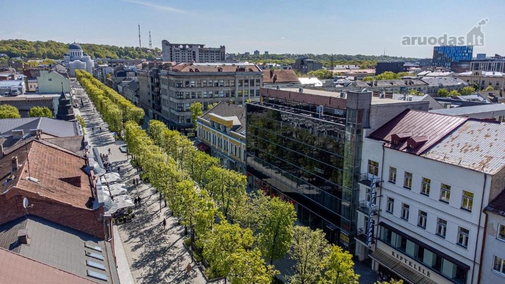 Parduodamas Investicinis Objektas Laisvės
