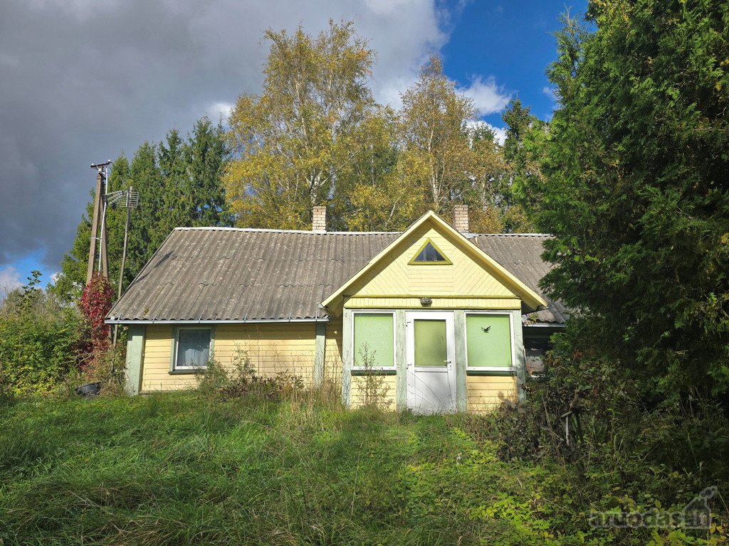 Parduodamas jaukus vienkiemis medžių, kalvų
