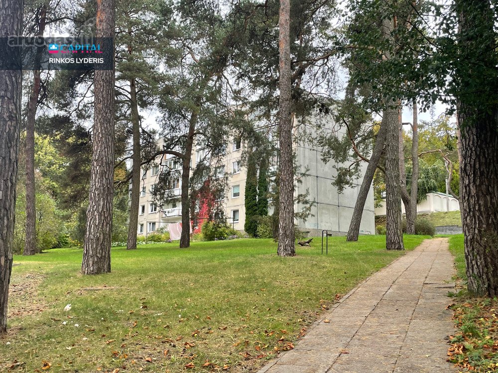 Šviesus 1 Kambario Butas Žvėryne – Pirmiems