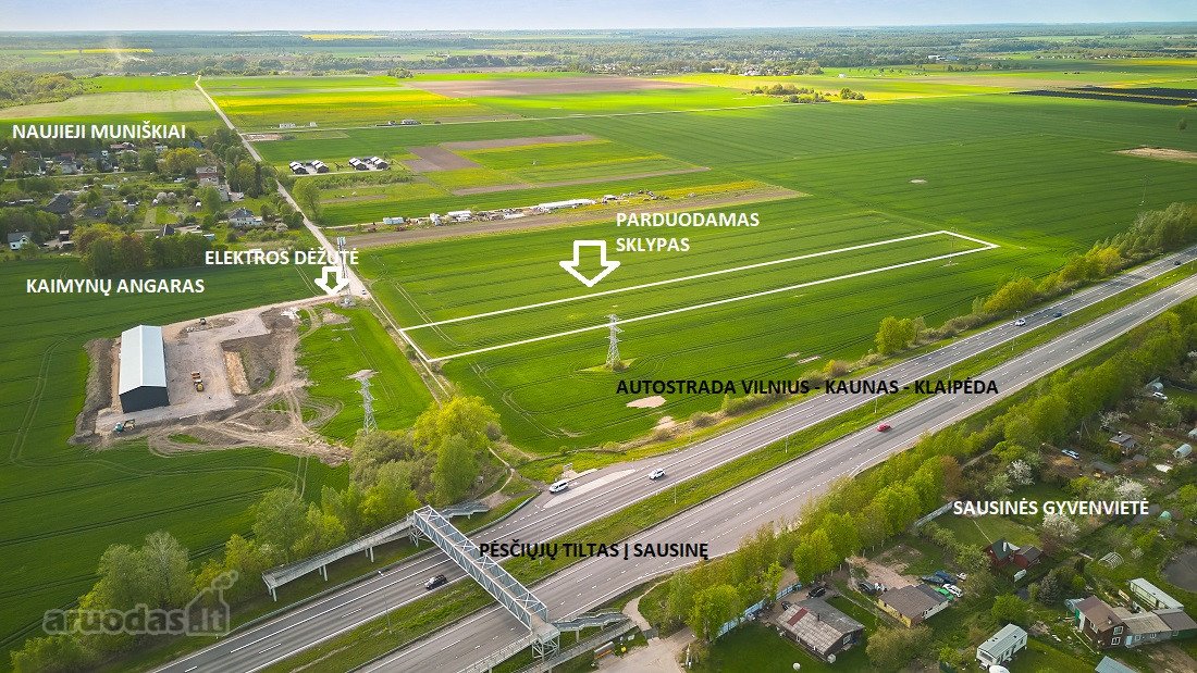 Parduodamas žemės ūkio paskirties sklypas