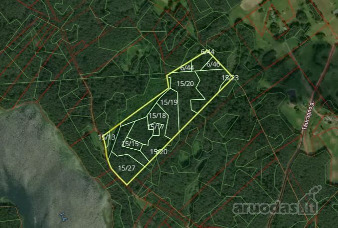 Parduodamas 10,85 ha ploto miškas Utenos raj.