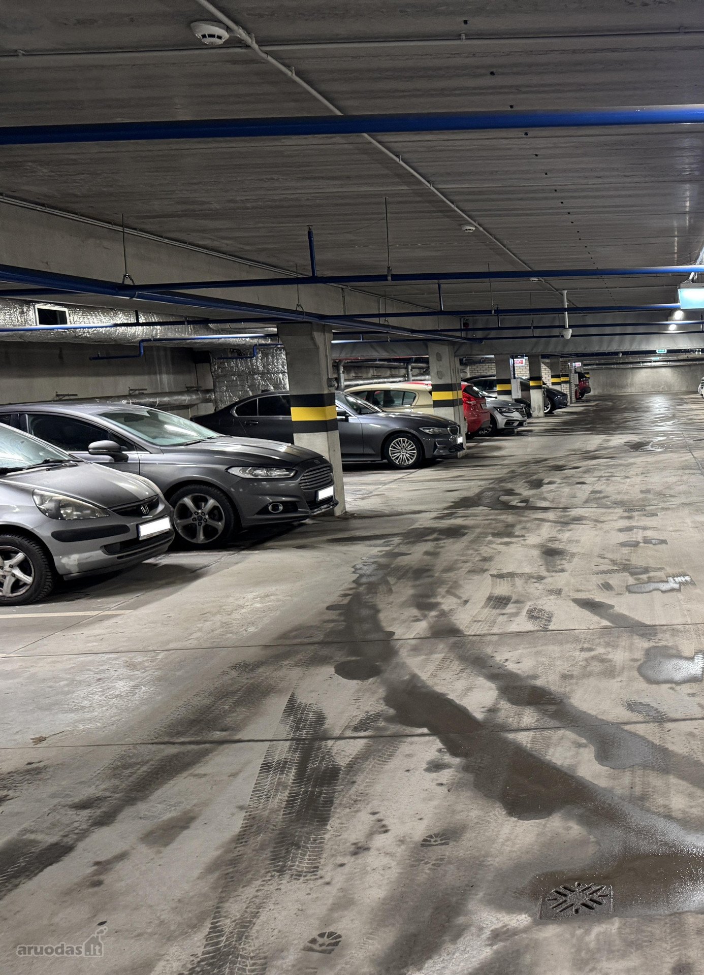 Nuomojama automobilio stovėjimo vieta