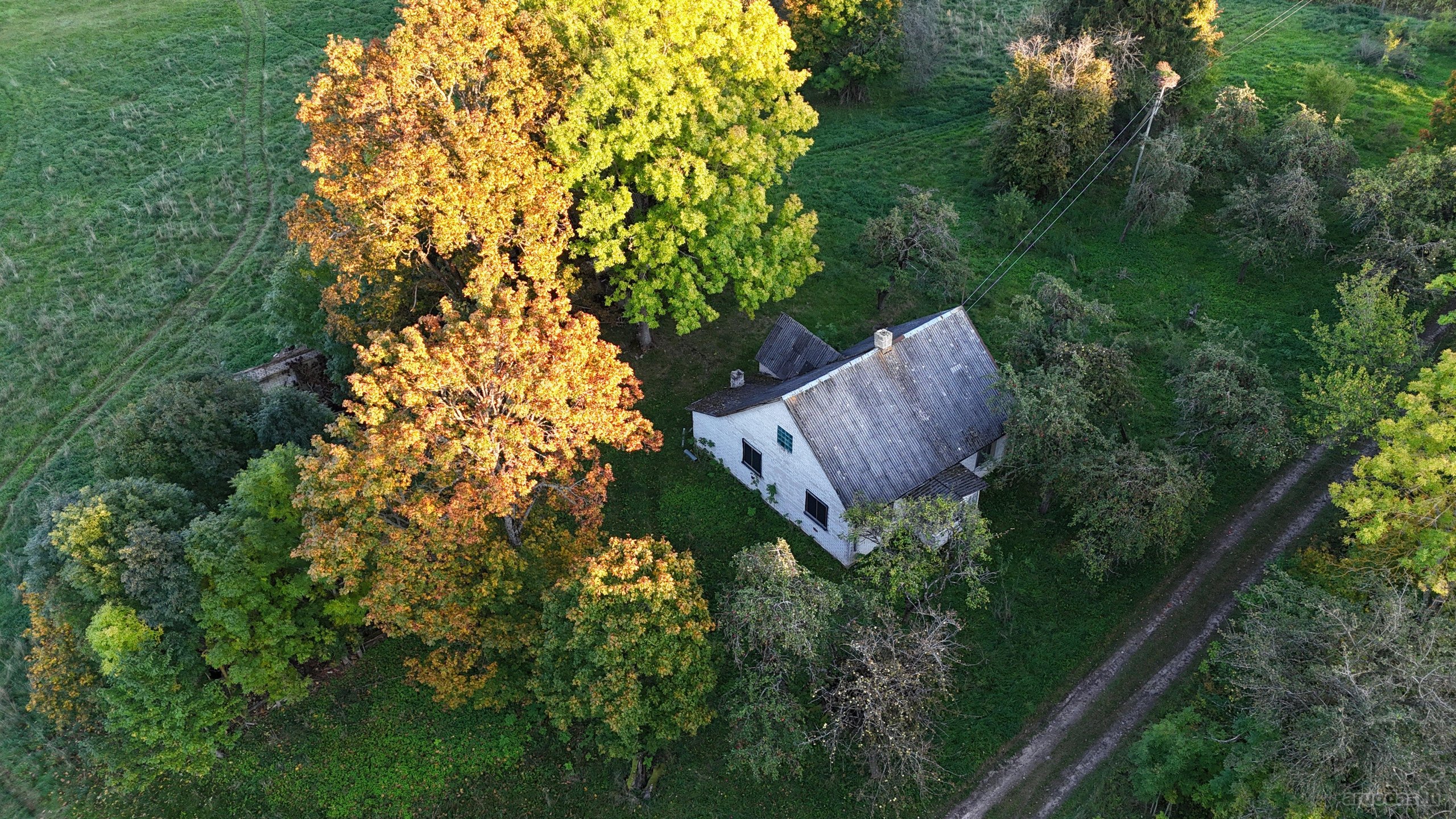 Parduodama sodyba ramiame vienkiemyje