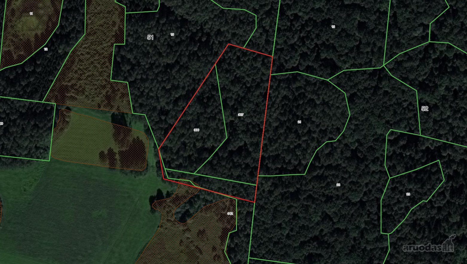 Parduodamas 2 ha ploto įvairus lapuočių