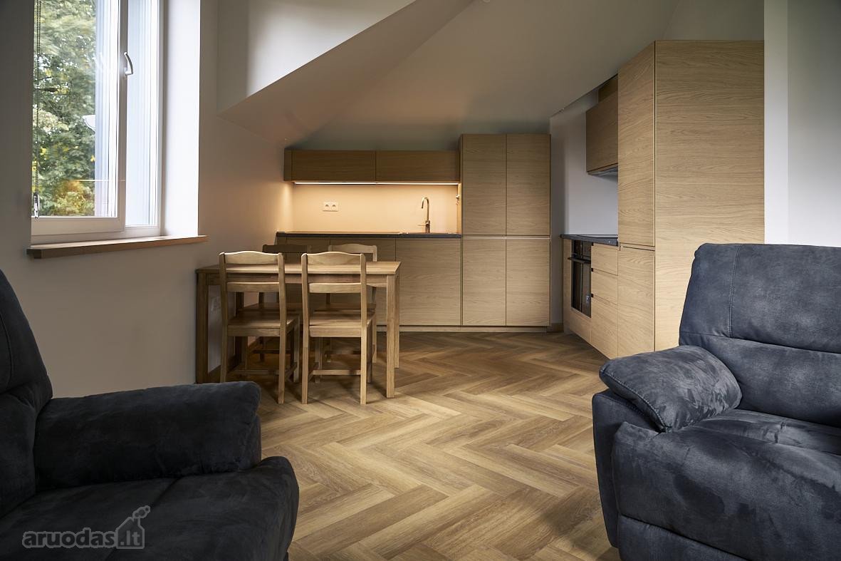 Išnuomojamas stilingas ir erdvus 66 m² butas