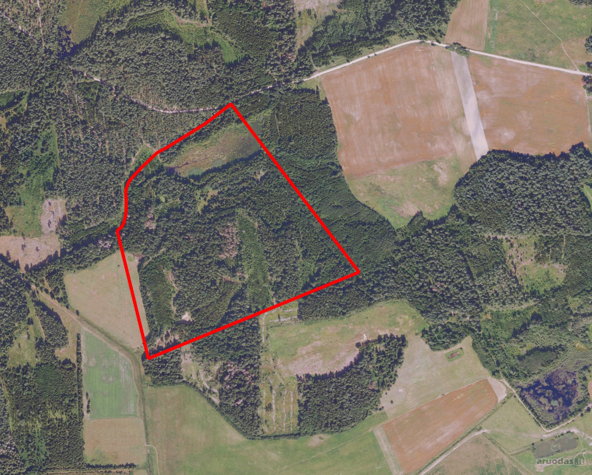  Parduodamas 22,5135 ha įvairiamžis miškas