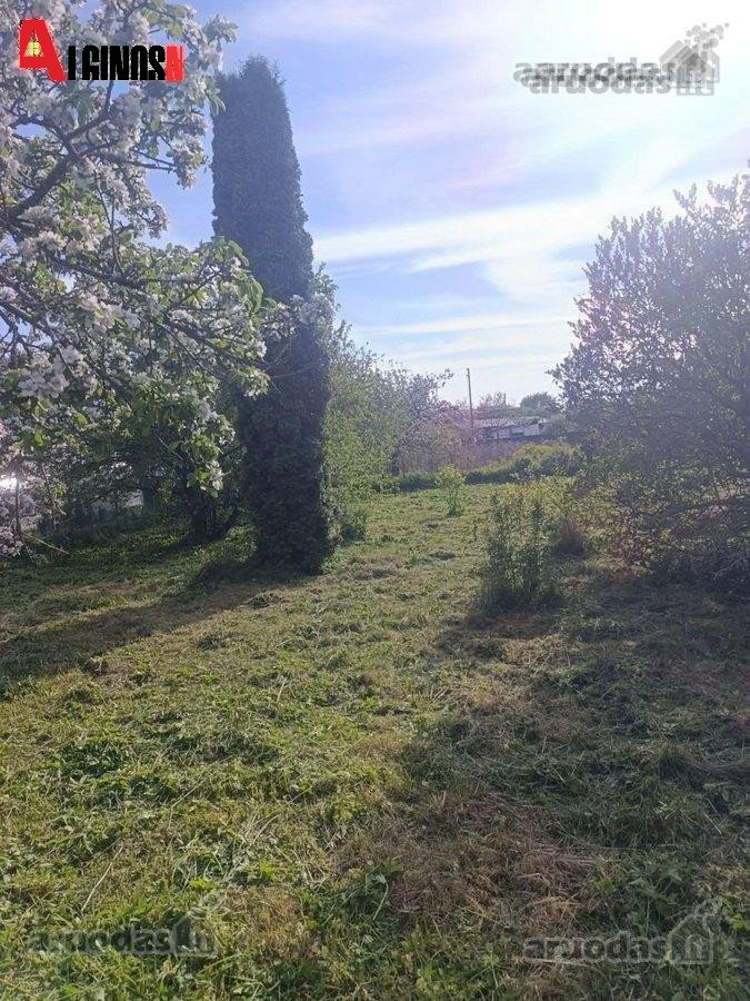 Dercekliuose Molo g. parduodamas 6 arų sodo