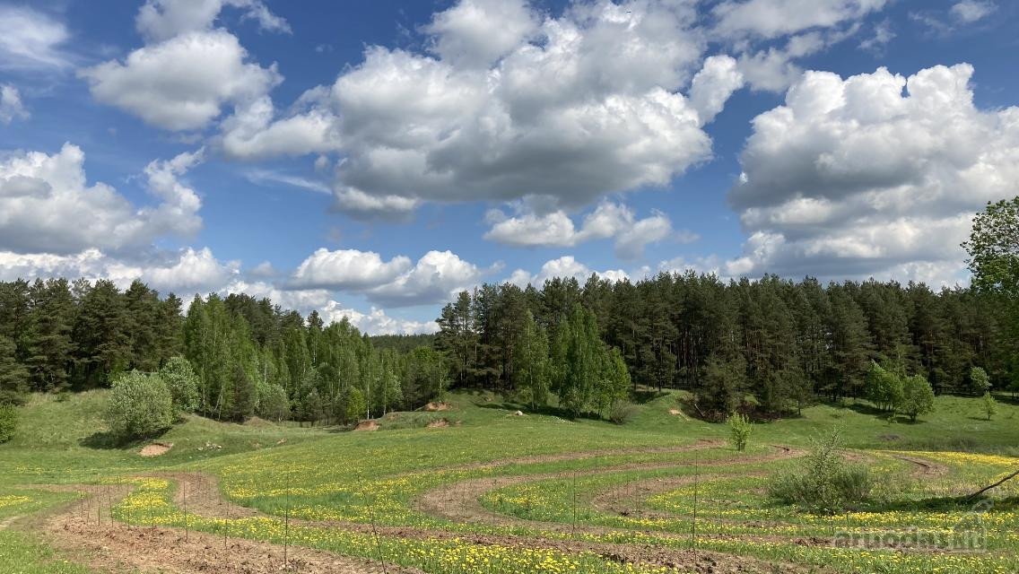 Parduodamas 30 hektarų žemes sklypas, obuolių