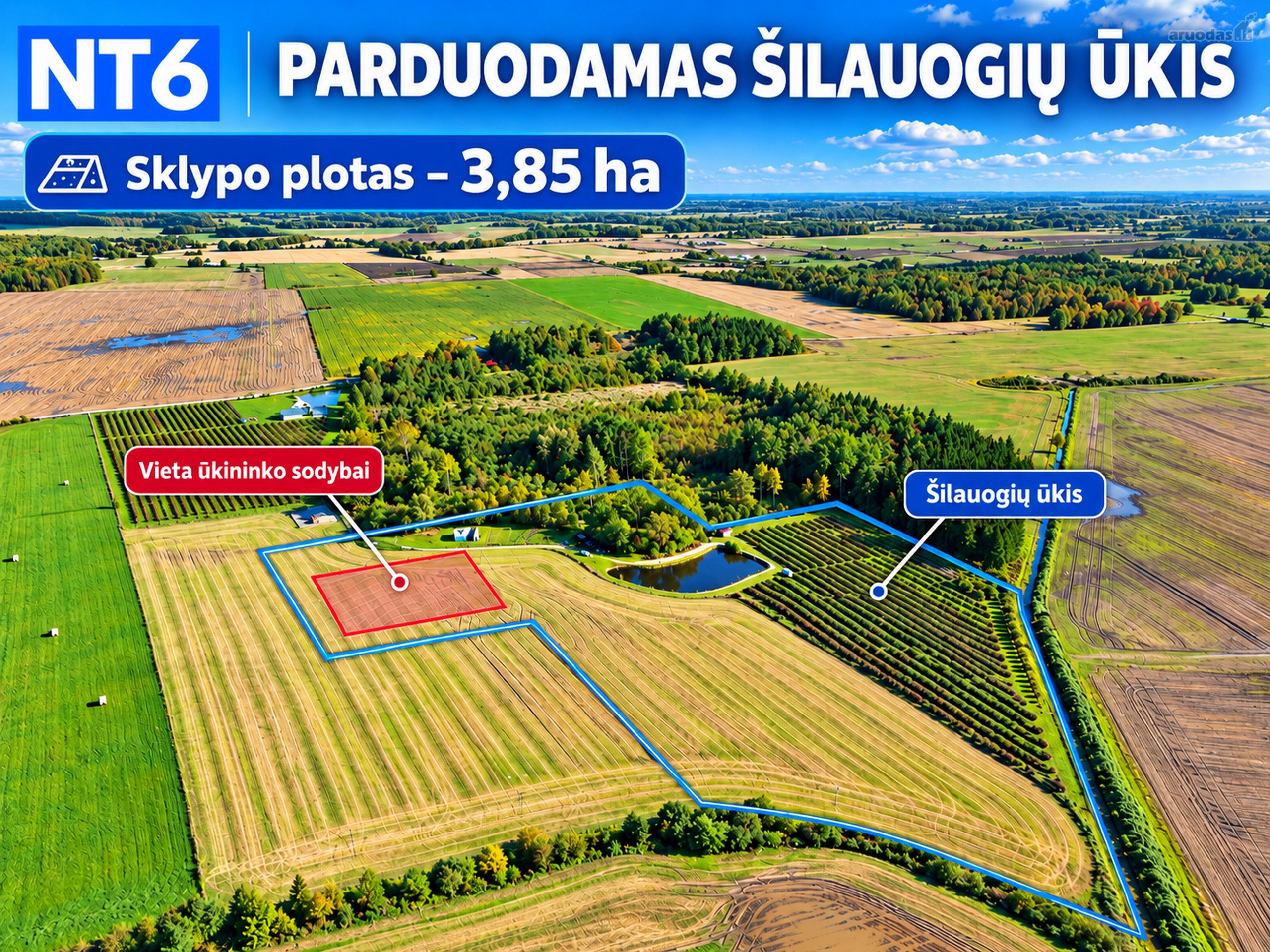 Perspektyvus Šilauogių Ūkis – 3,85 Ha Sklypas