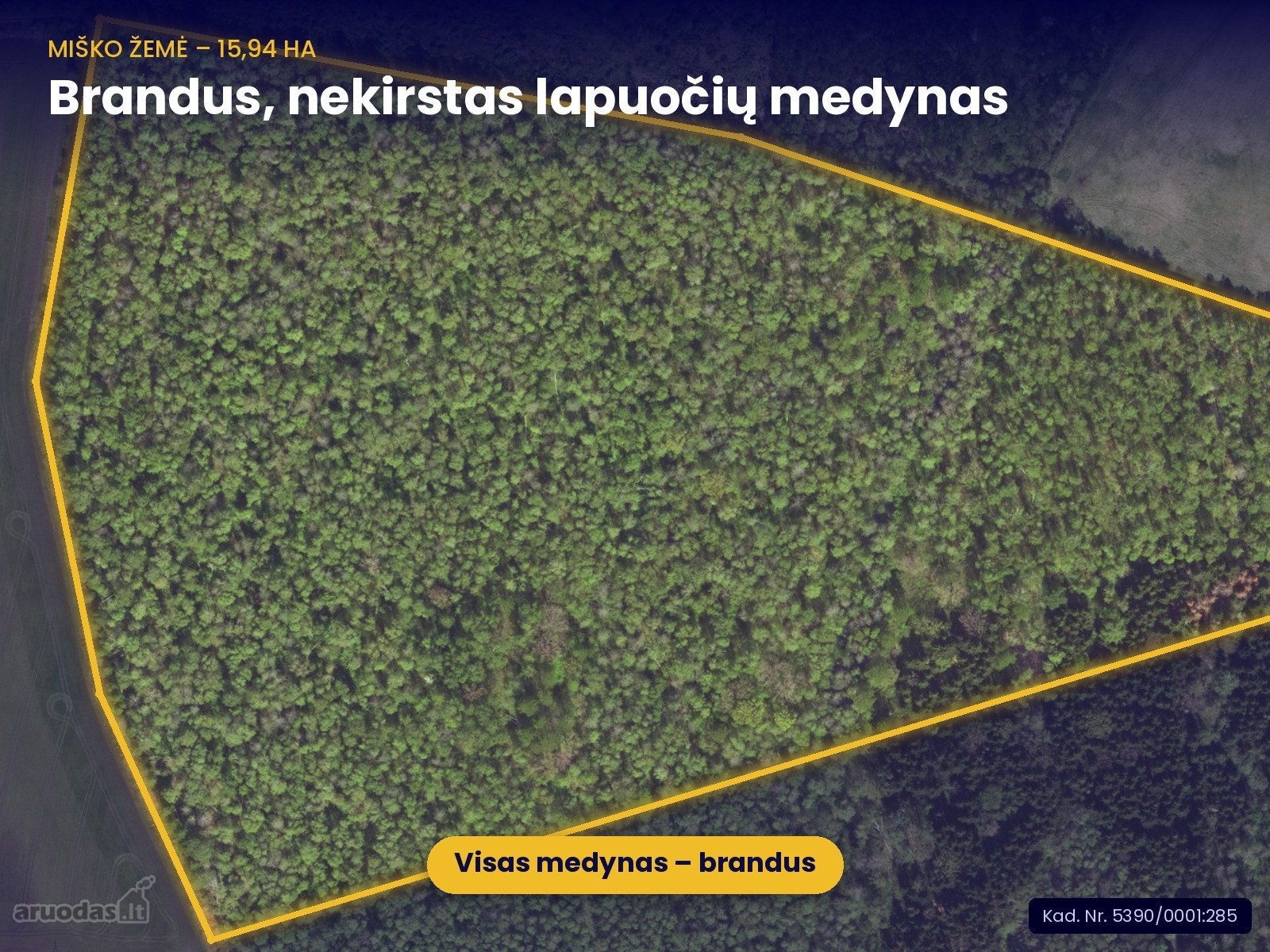  Parduodamas  brandus lapuočių miškas 16,30