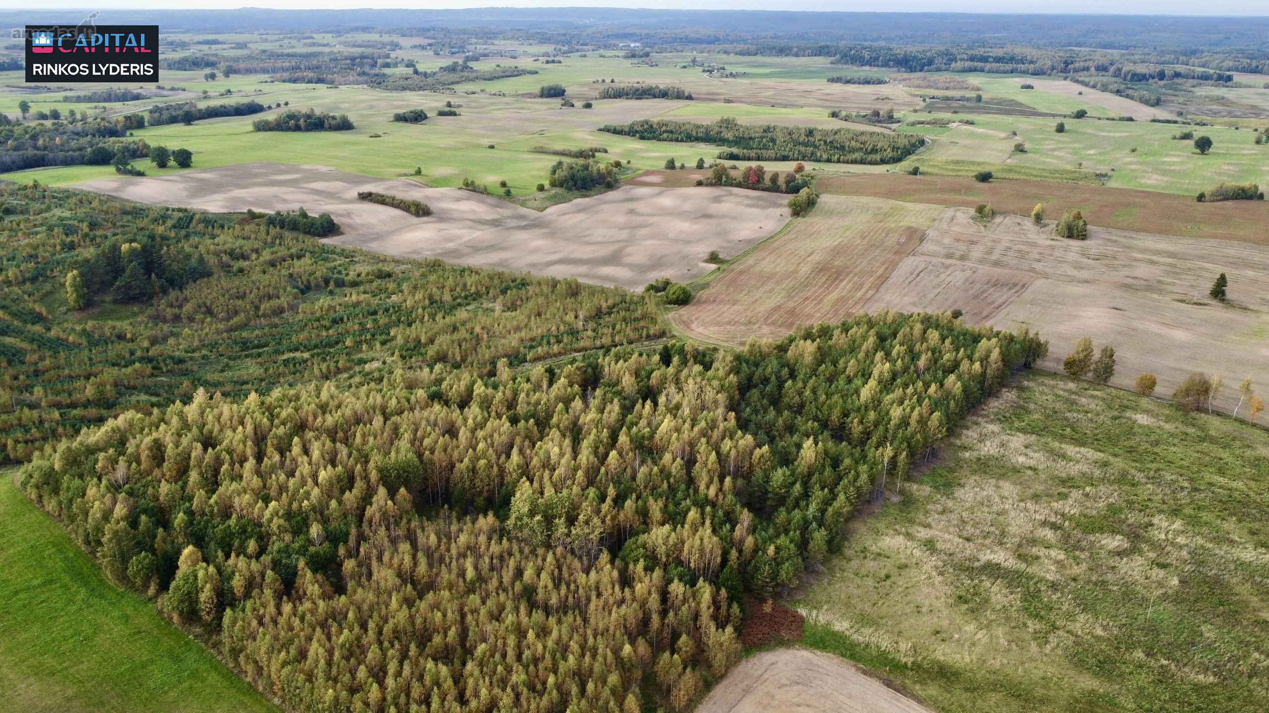 Parduodamas žemės 3,5 ha žemės ūkio