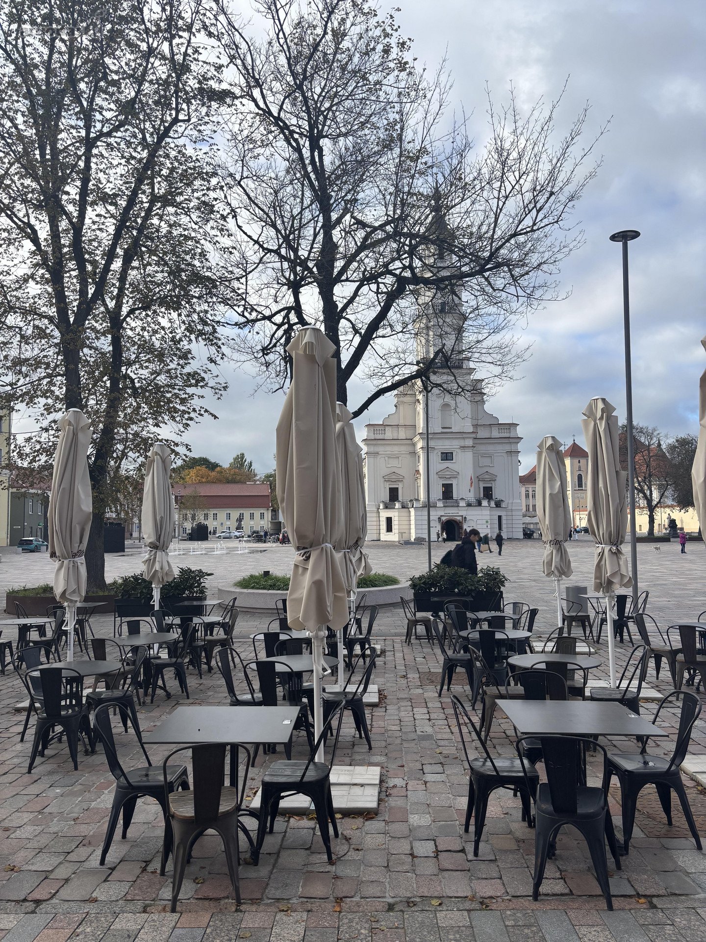 Kaune, Rotušės aikštėje išnuomojamos 242.27
