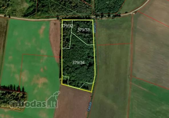 Parduodamas 4,63 ha ploto miškas Biržų raj.