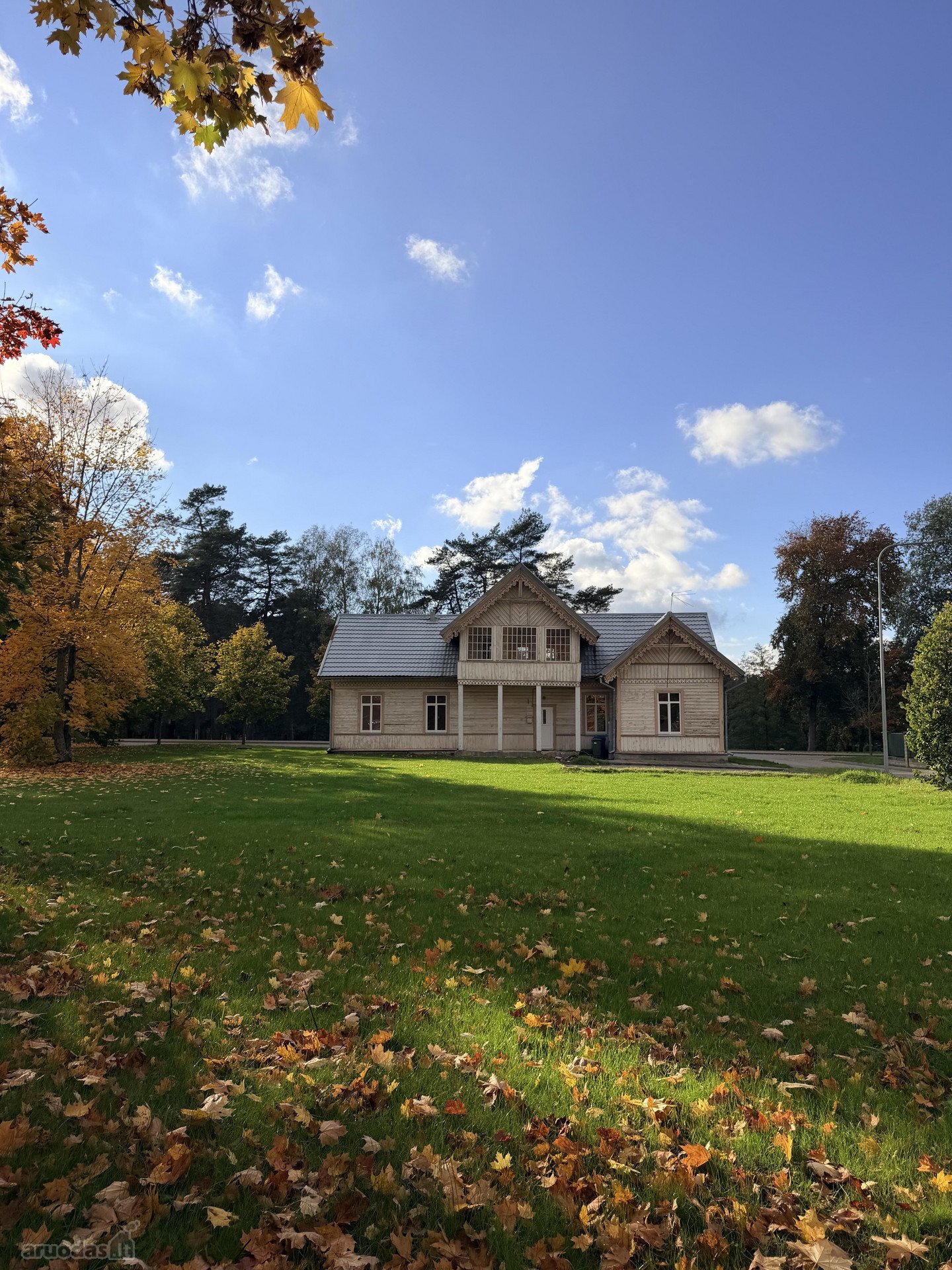Kultūros paveldo vila „žuvėdra“ – Druskininkų