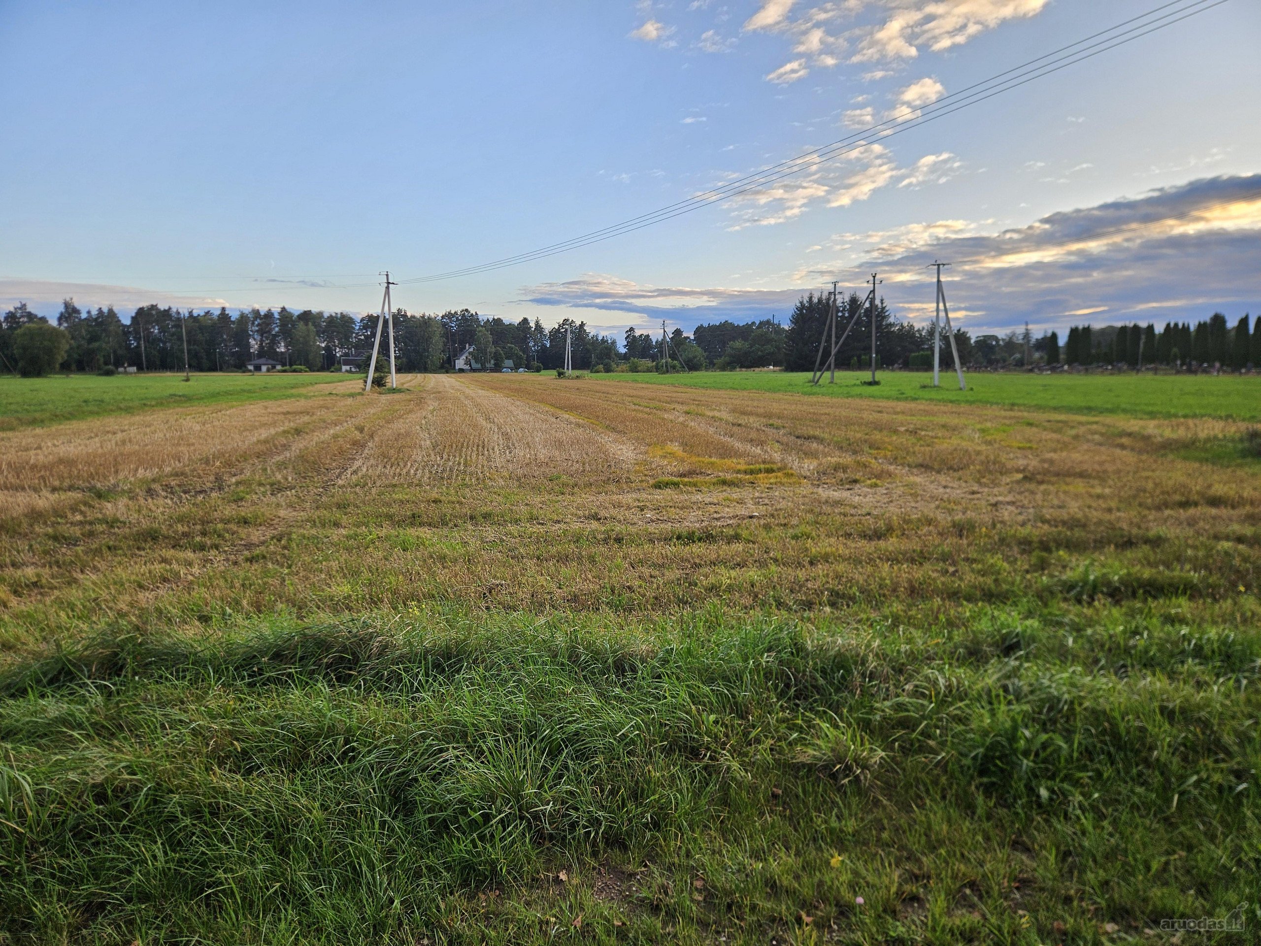 Parduodamas 1,36 ha žemės ūkio sklypas Kauno