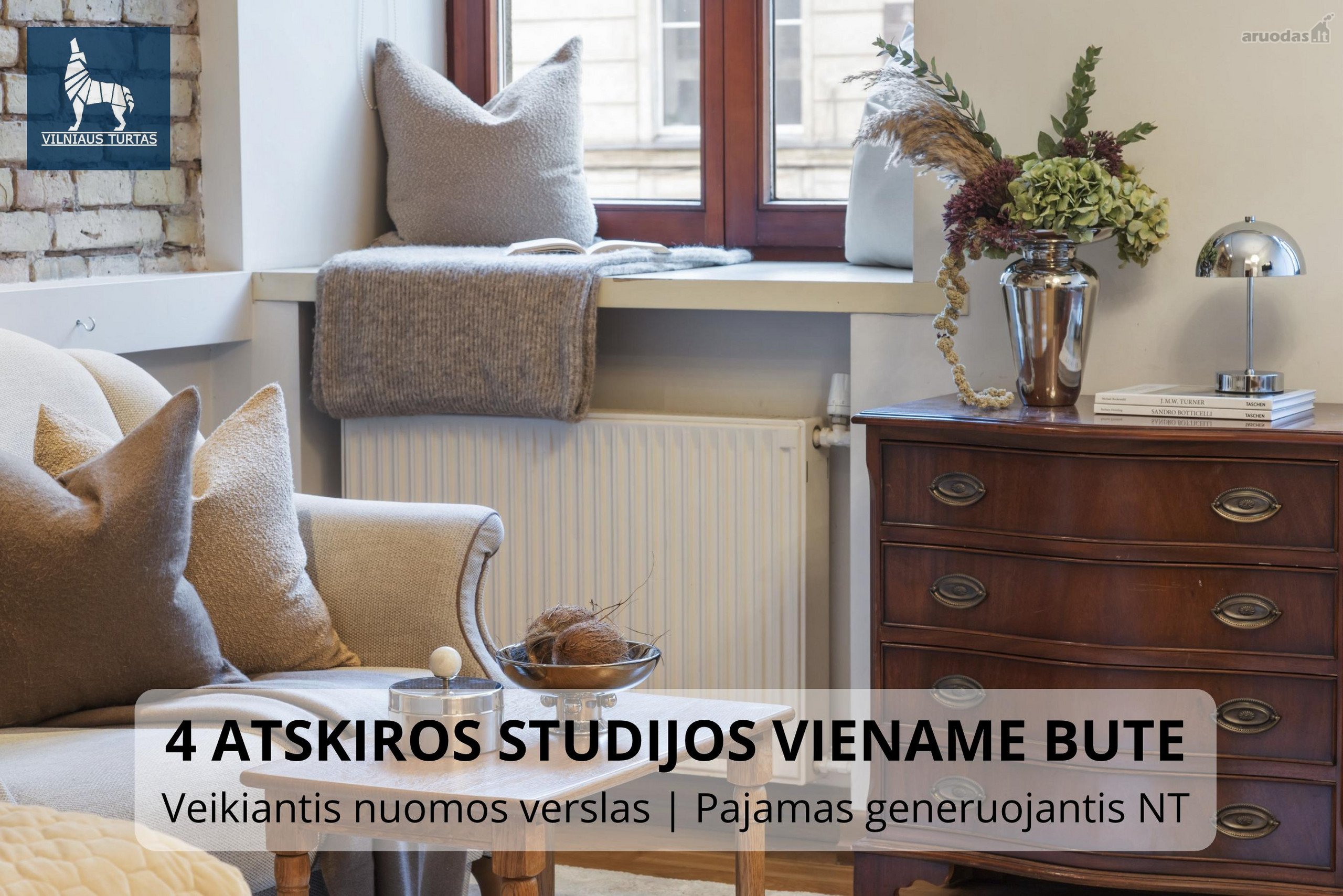 Išskirtinė Investicinė Galimybė Vilniaus