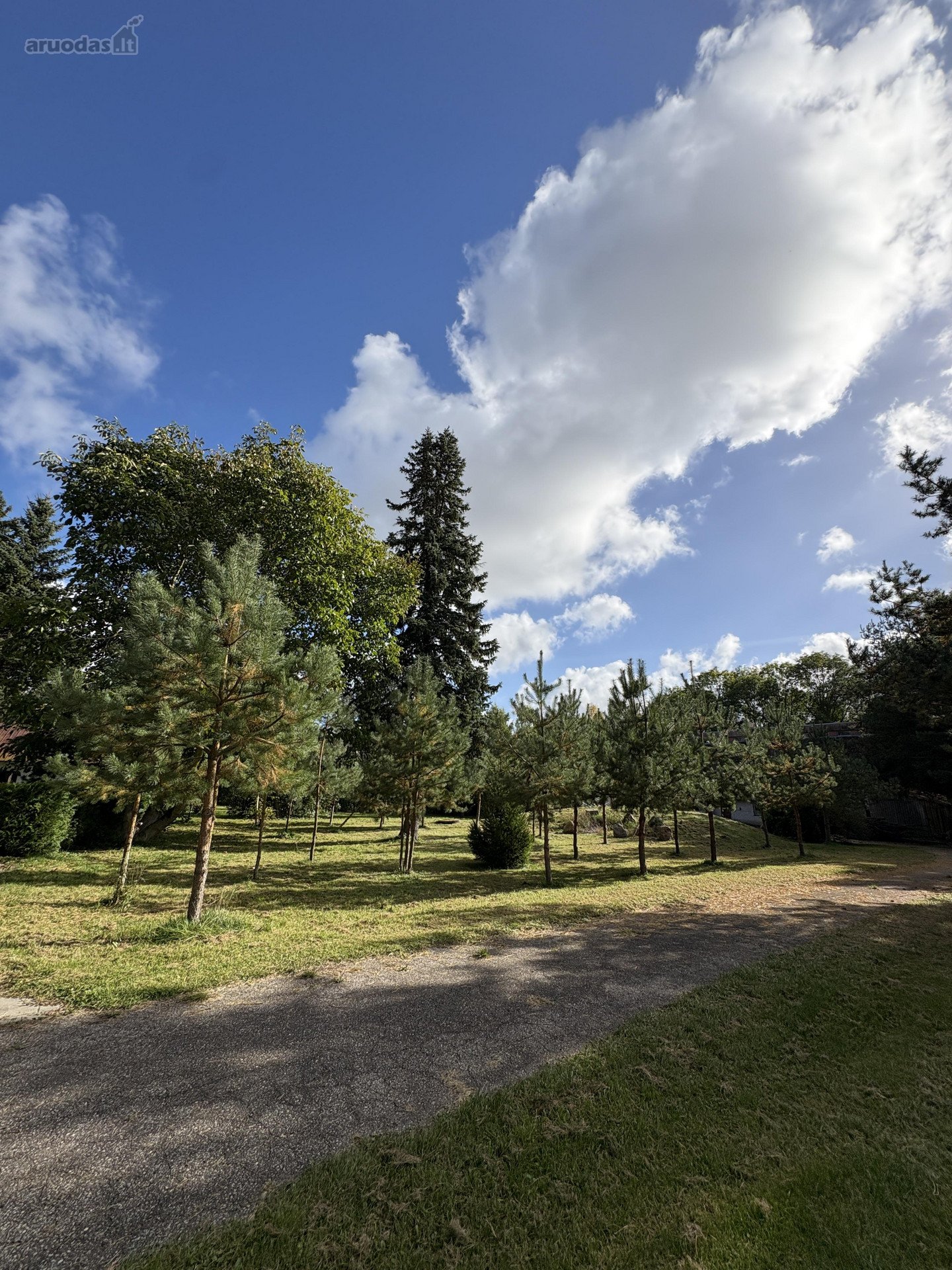 Parduodamas 3 ha (300 arų) sklypas su mūriniu