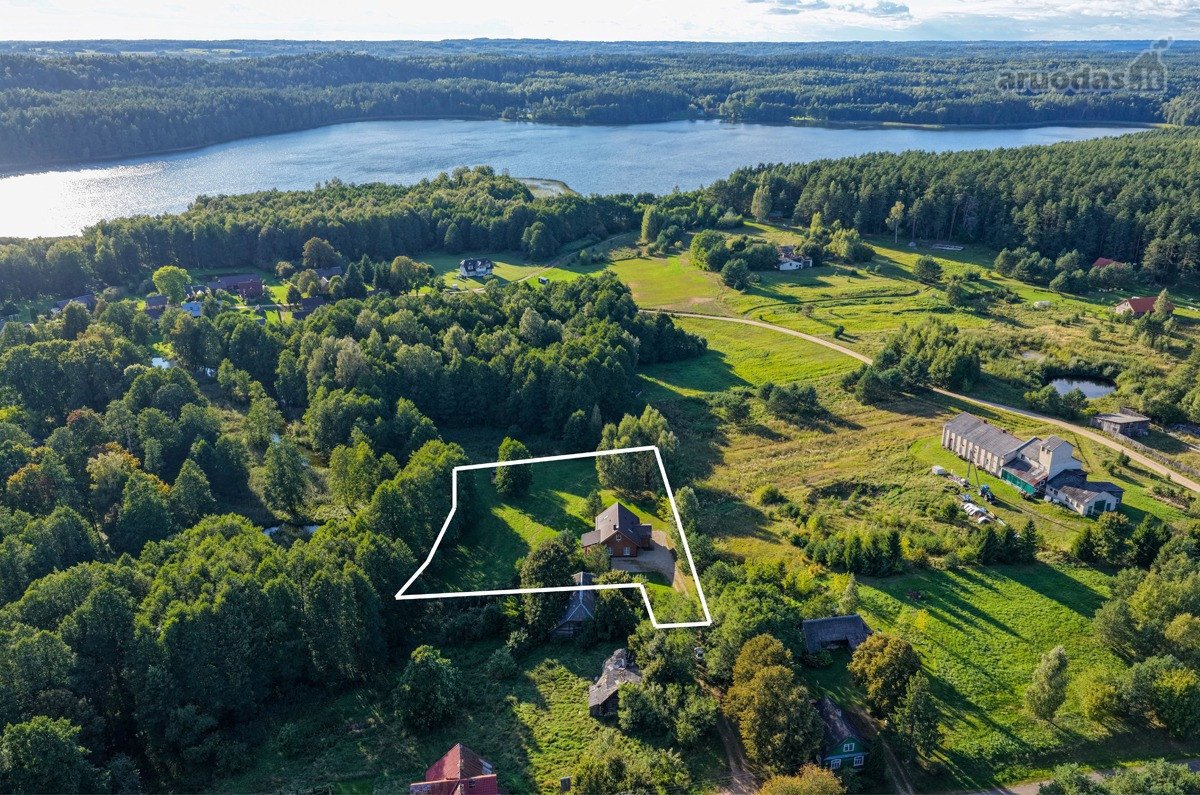 Ant smėlėtos Srovės upės kranto, gražiausių