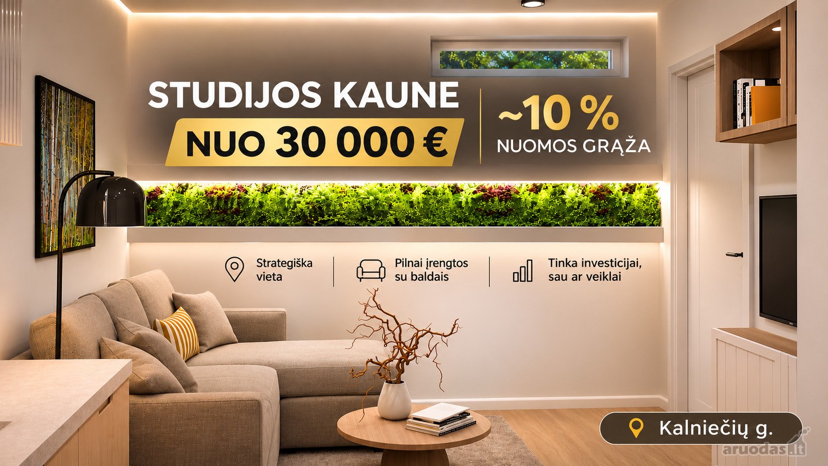 Investicinės Studijos Kaune Nuo 30 000 €