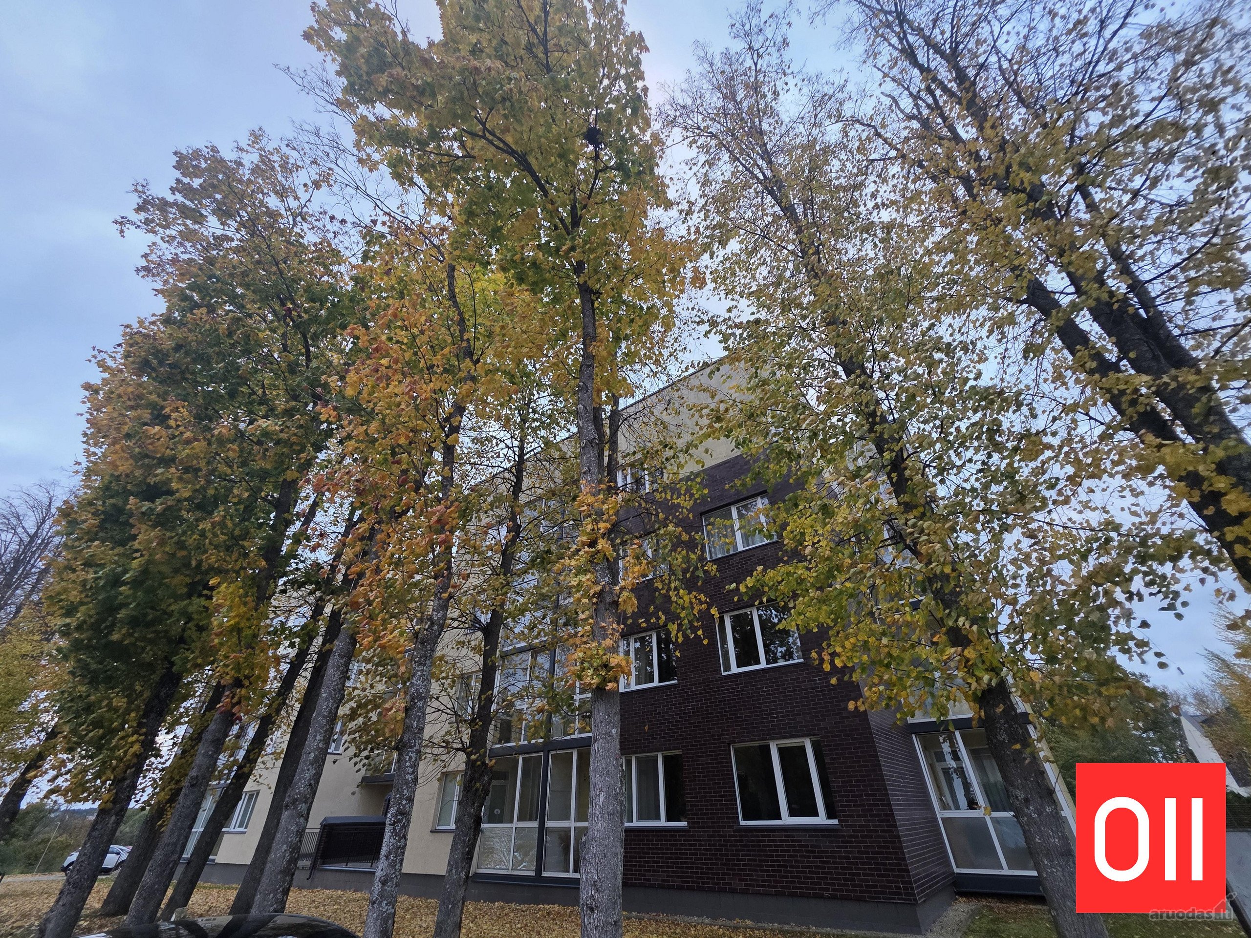 Jaukūs Namai Tauralaukyje – Su Požeminiu
