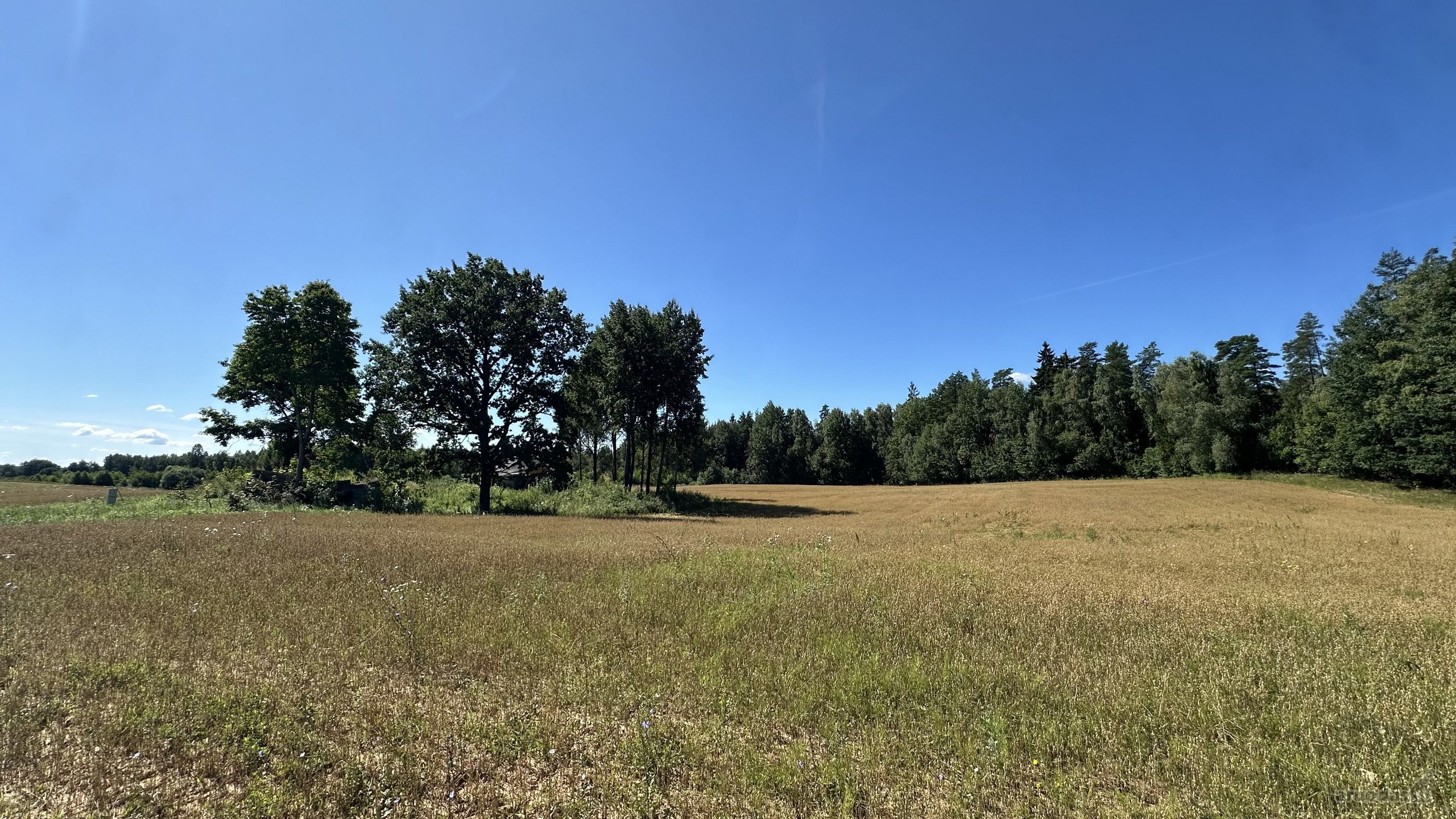 Parduodamas 20 arų ploto namų valdos