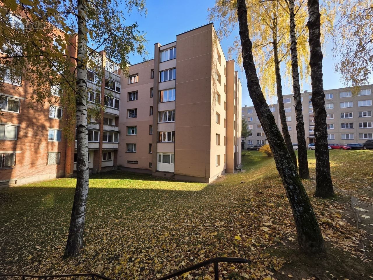 Jaunimo g. Alytuje