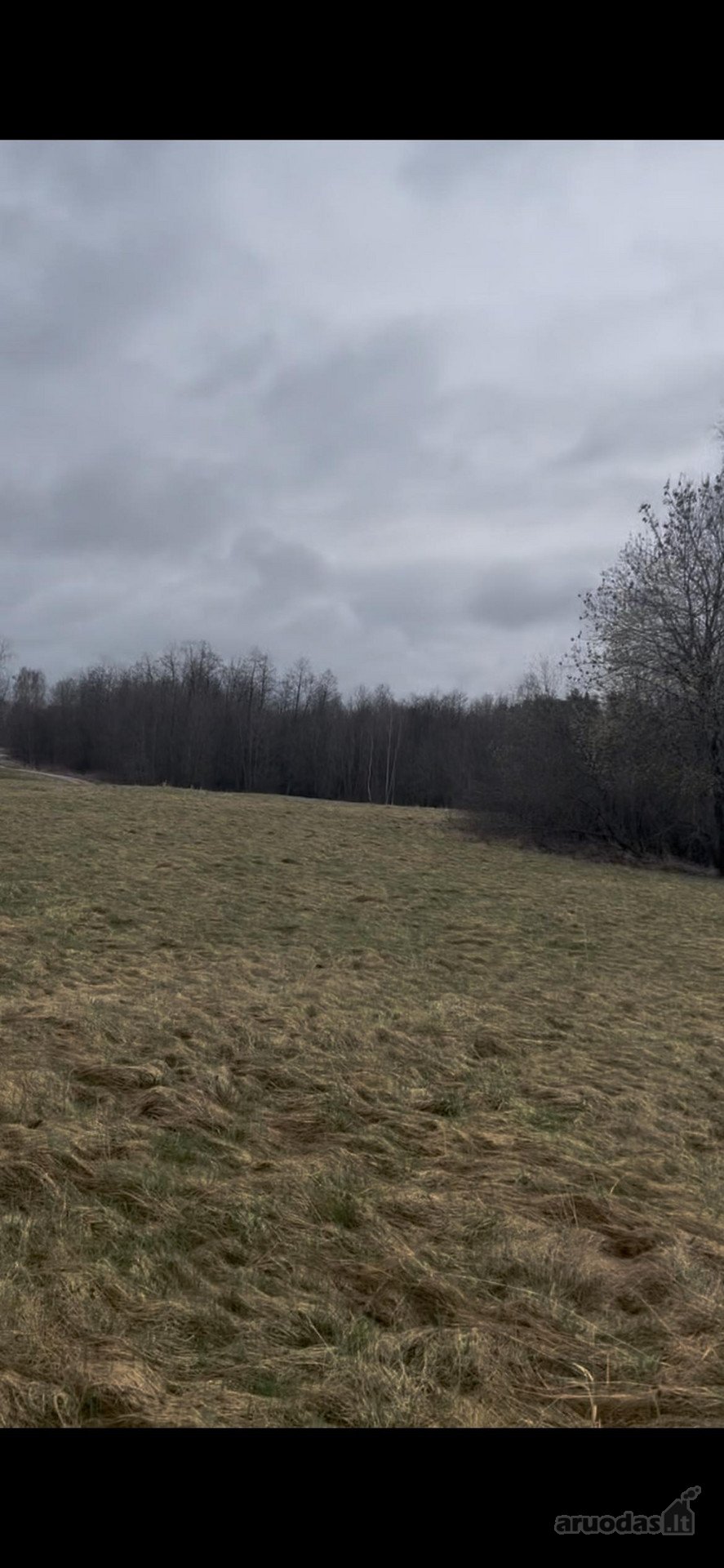 Parduodamas sklypas Molėtų r. sav., Gačkiškių k. 