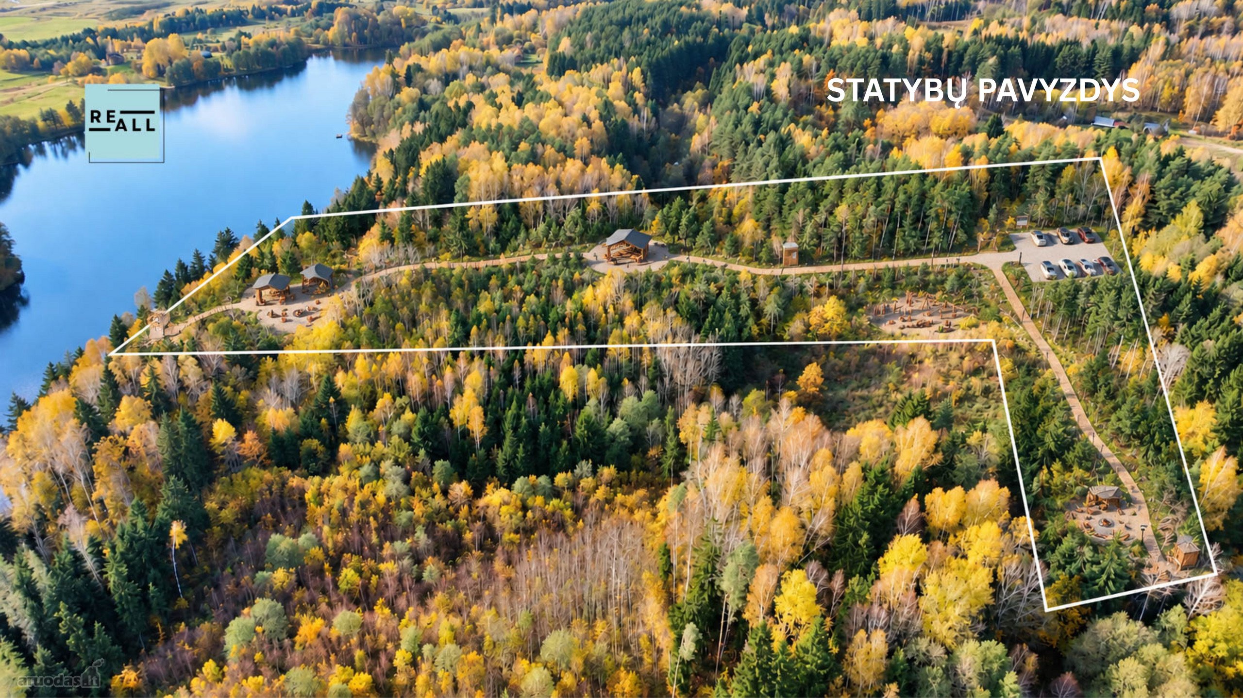 Parduodamas 3,2 Ha Miško Sklypas Su Juodžio