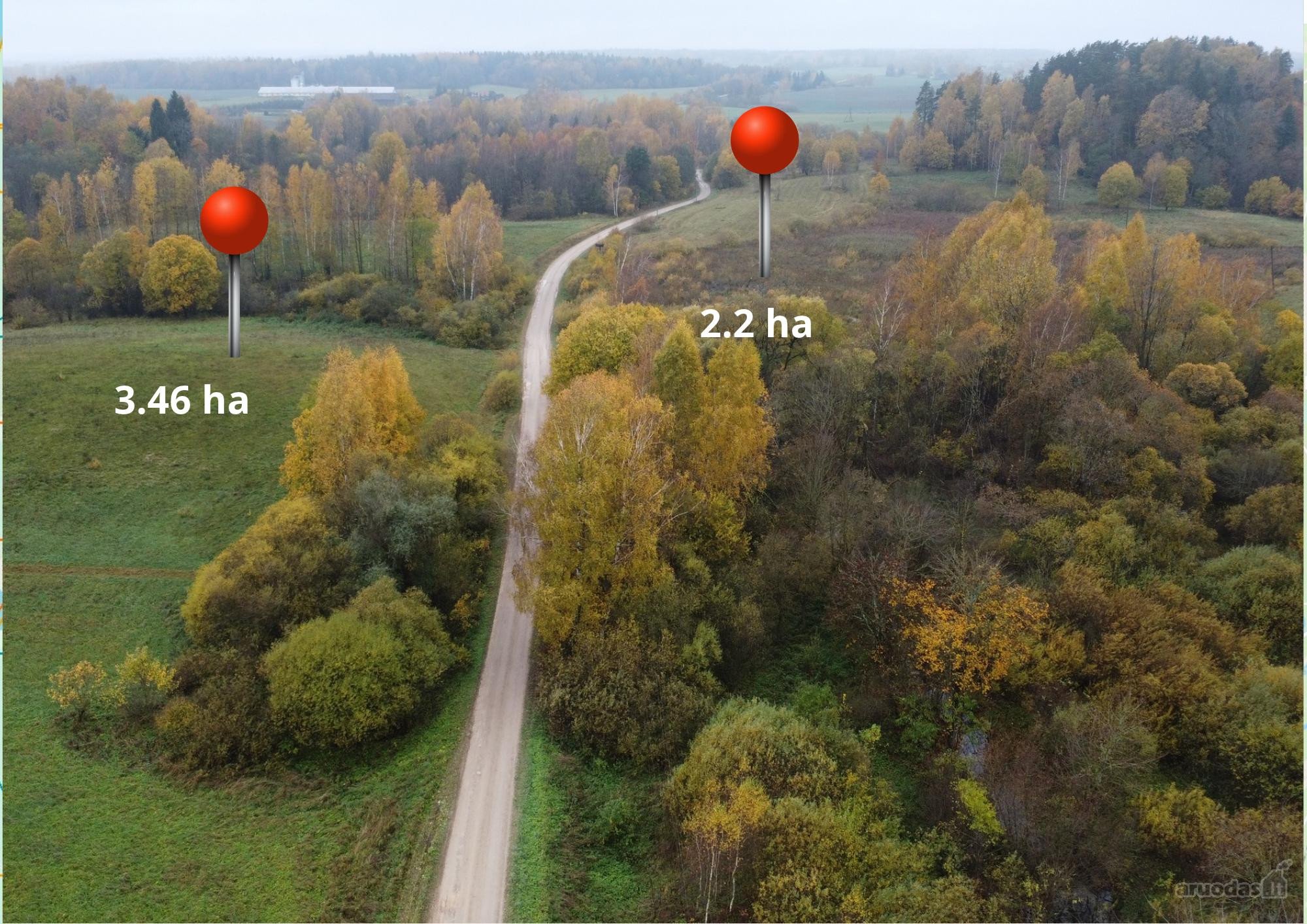 Parduodamas 5,66 ha žemės ūkio paskirties