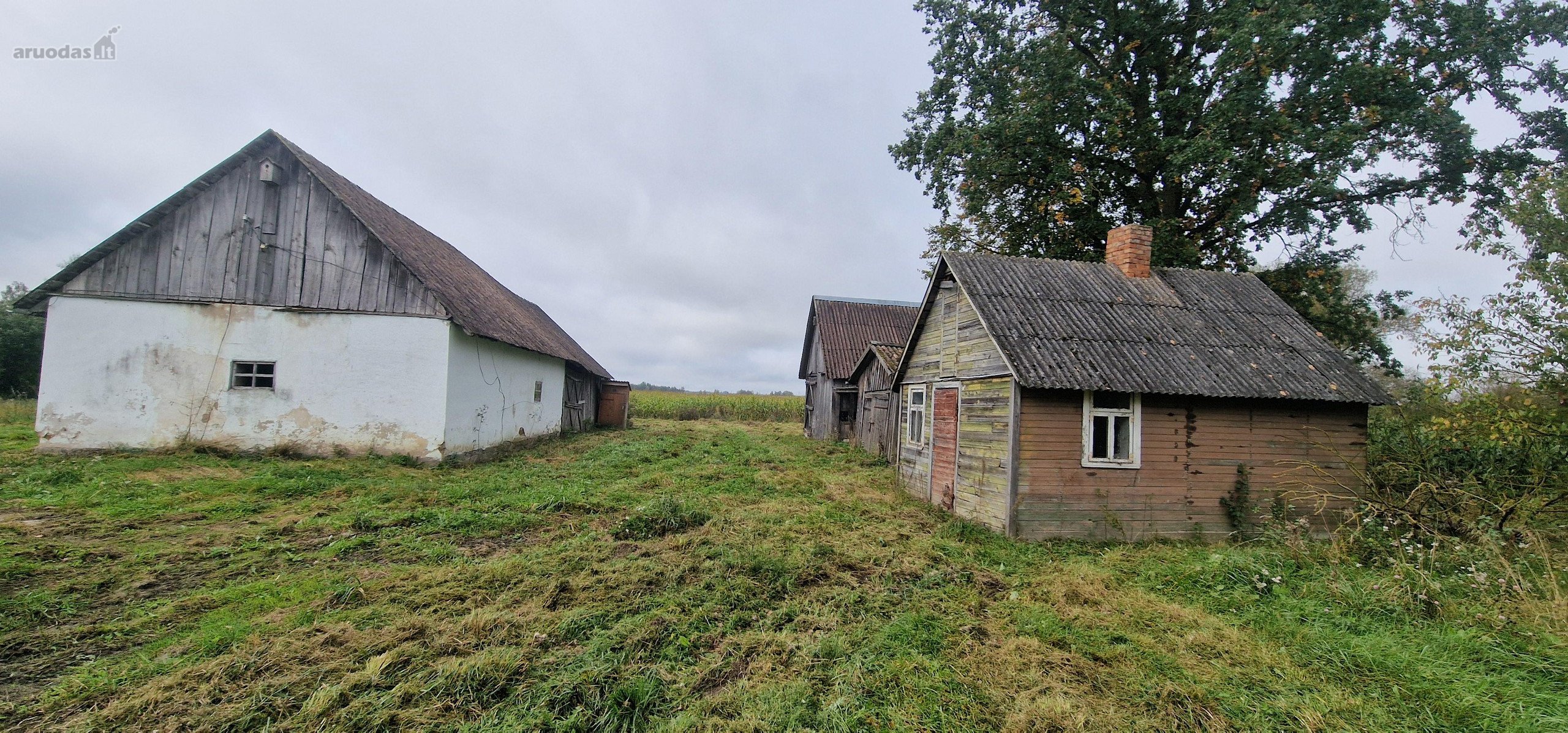 Parduodama Sodyba Pakruojo Rajone, Gedučių Kaime.