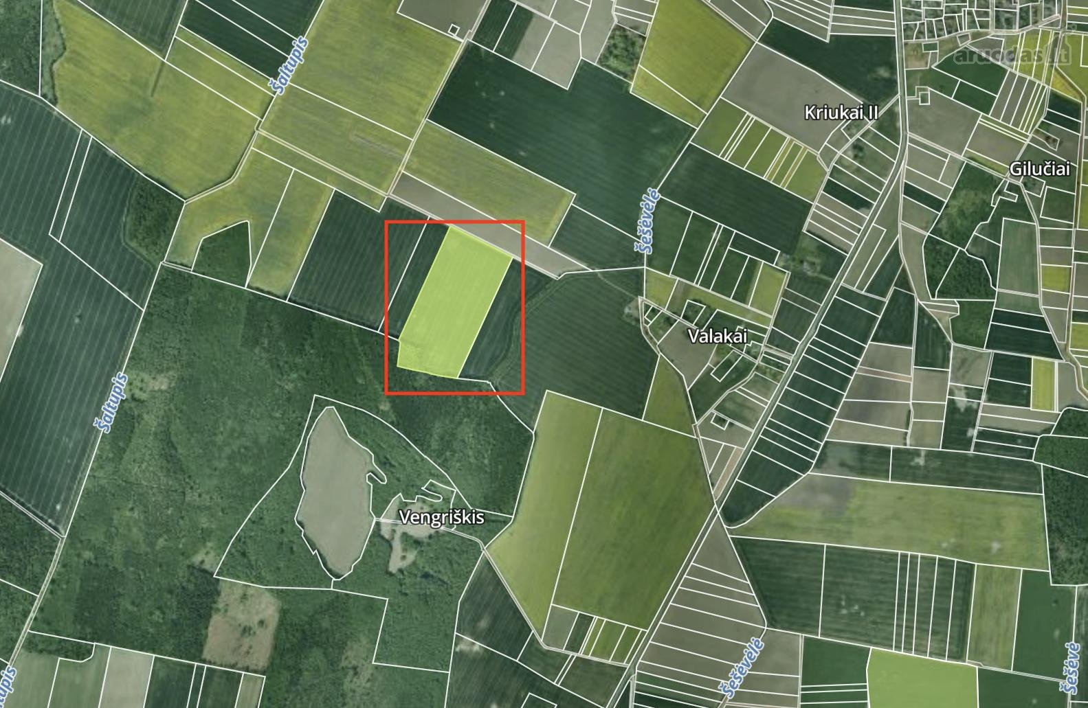 Parduodamas 10 hektarų žemės ūkio paskirties