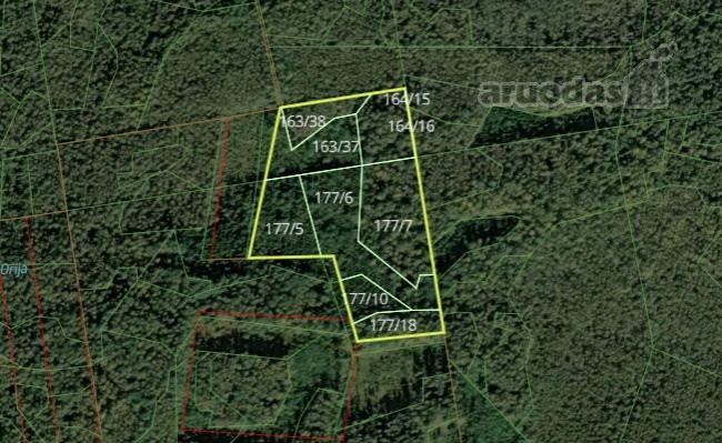 Parduodamas 7,6 ha sklypas Panevėžio raj.