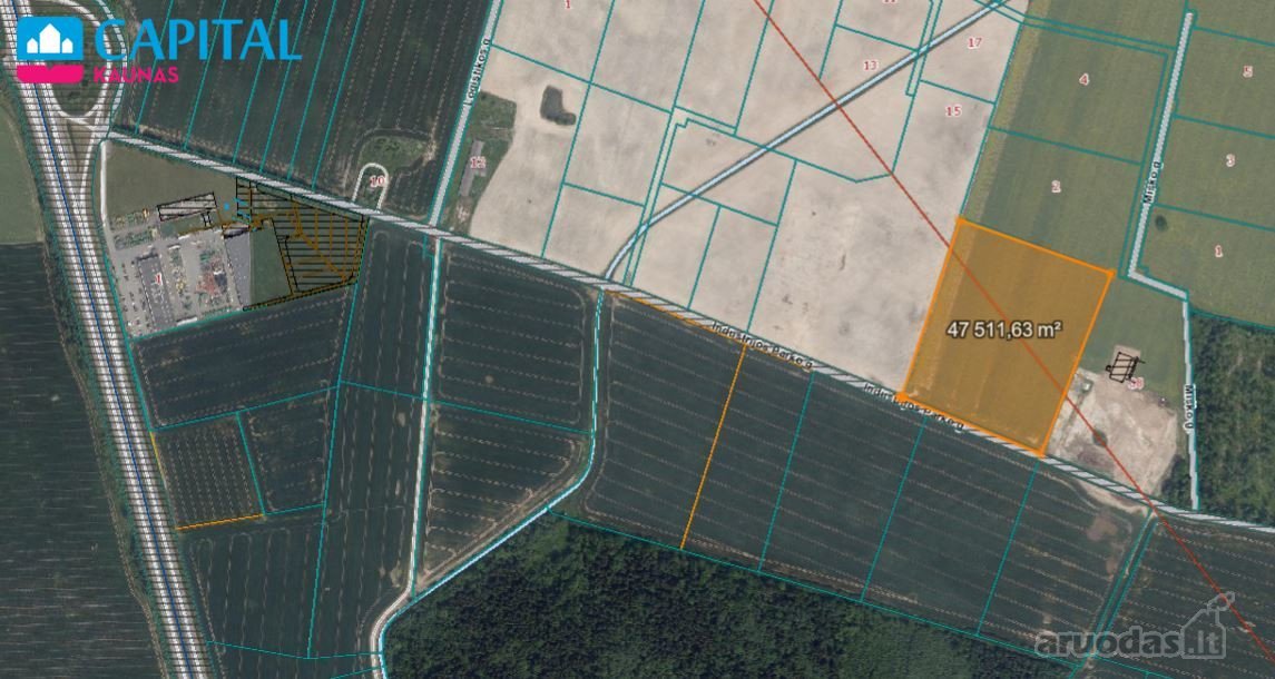 Kauno – Klaipėdos A1 automagistralės pašonėje