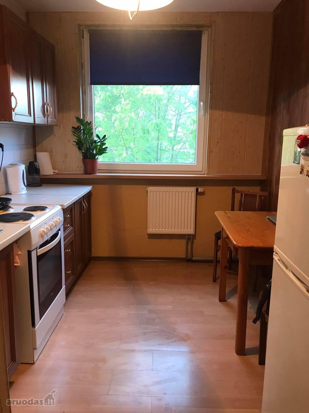 Išnuomojamas jaukus, tvarkingas vieno