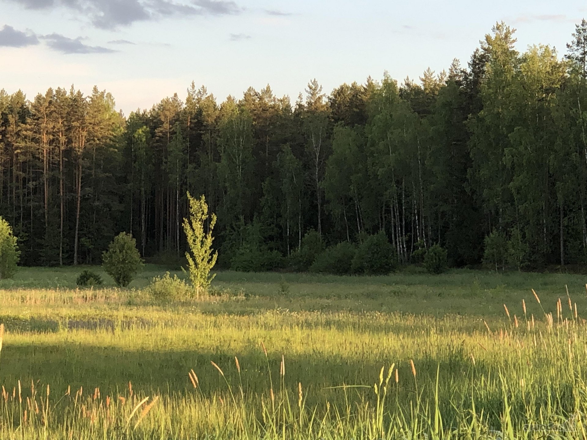 Sklypas Svencionių R Vasiuliskės K Sklypas Nekilnojamo Turto Skelbimai Aruodas Lt