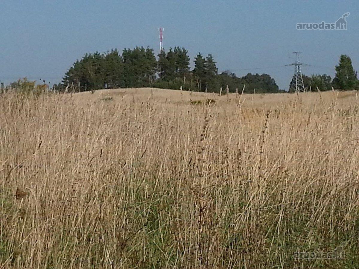 1,7618 ha sklypas Vabalių k. su galiojančiu
