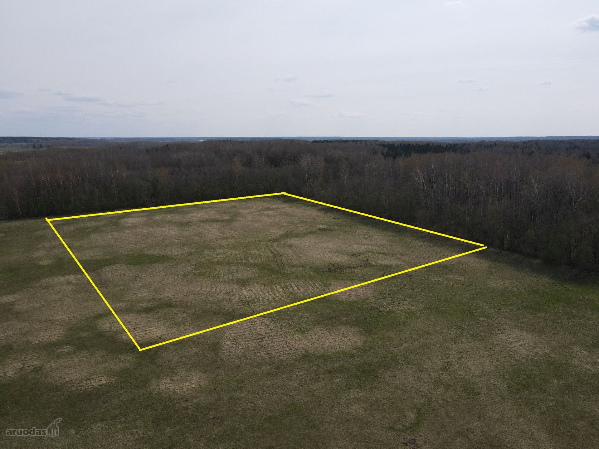 25 Ha Žemės Sklypas Širvintų R. Sav.,