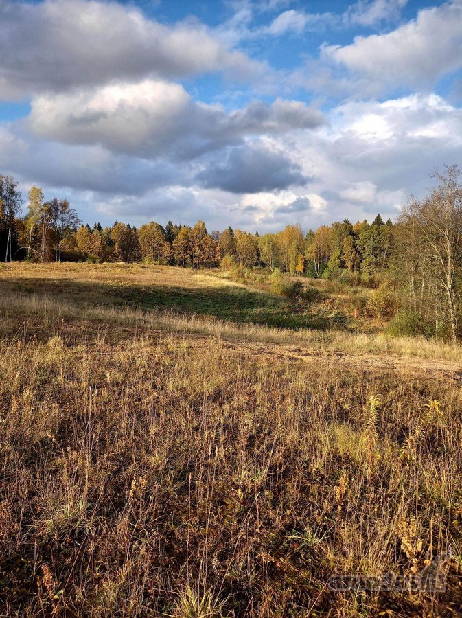 Parduodami 5 namų valdos sklypai po 15arų. - nuotraukos Nr. 24