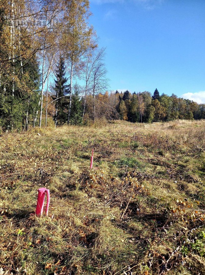 Parduodami 5 namų valdos sklypai po 15arų. - nuotraukos Nr. 25