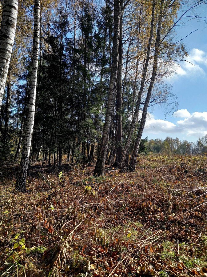 Parduodami 5 namų valdos sklypai po 15arų. - nuotraukos Nr. 23