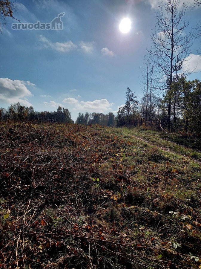 Parduodami 5 namų valdos sklypai po 15arų. - nuotraukos Nr. 21